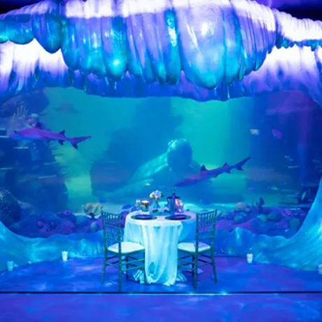 Function and events hire for any occasion at SEA LIFE Sydney under the sea