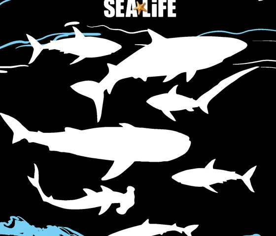 Sharkfacts Bookweek Highcontrast (1)