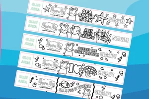 Friendship Bracelets