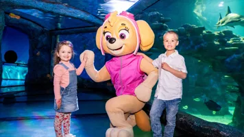 PAWPATROL WLSZ SL 120