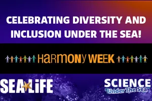 Harmony Day EDM 600X338