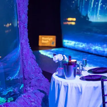 2019 Private Dining Moonlight Beach 1