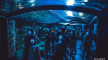 Disco Heart Of The Reef 1