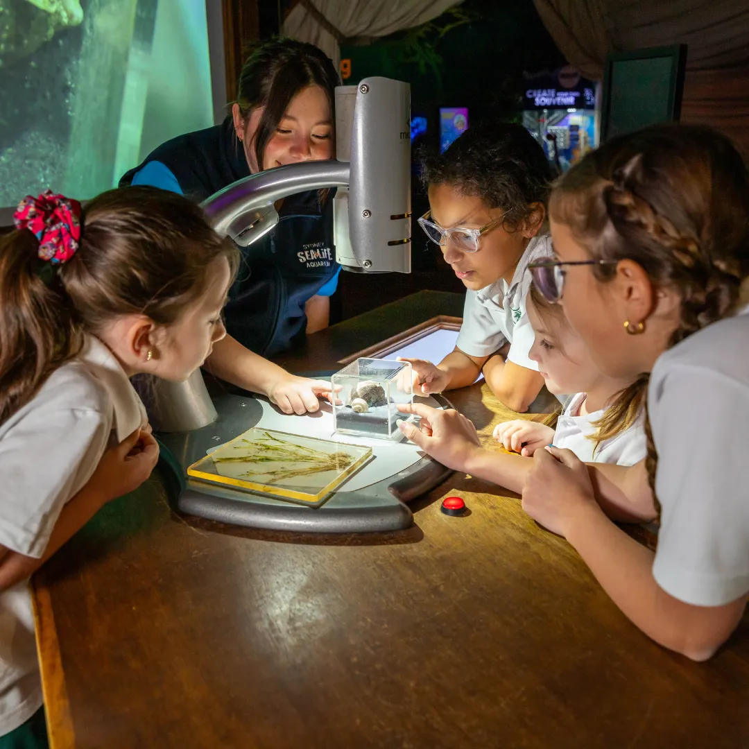 Students participating in a hands-on marine science activity