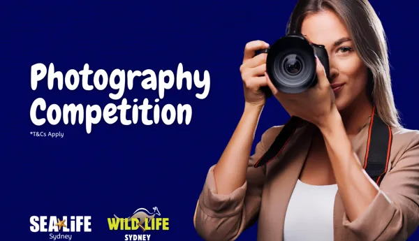 AAP Campaign Web Photographycomp