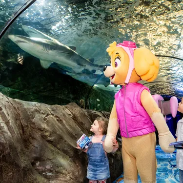 PAWPATROL WLSZ SL 95