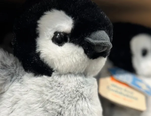 Penguin Mini Plush