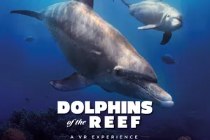 DOLPHINS OF THE REEF ENGLISH EMAIL INSET IMAGE GENERIC