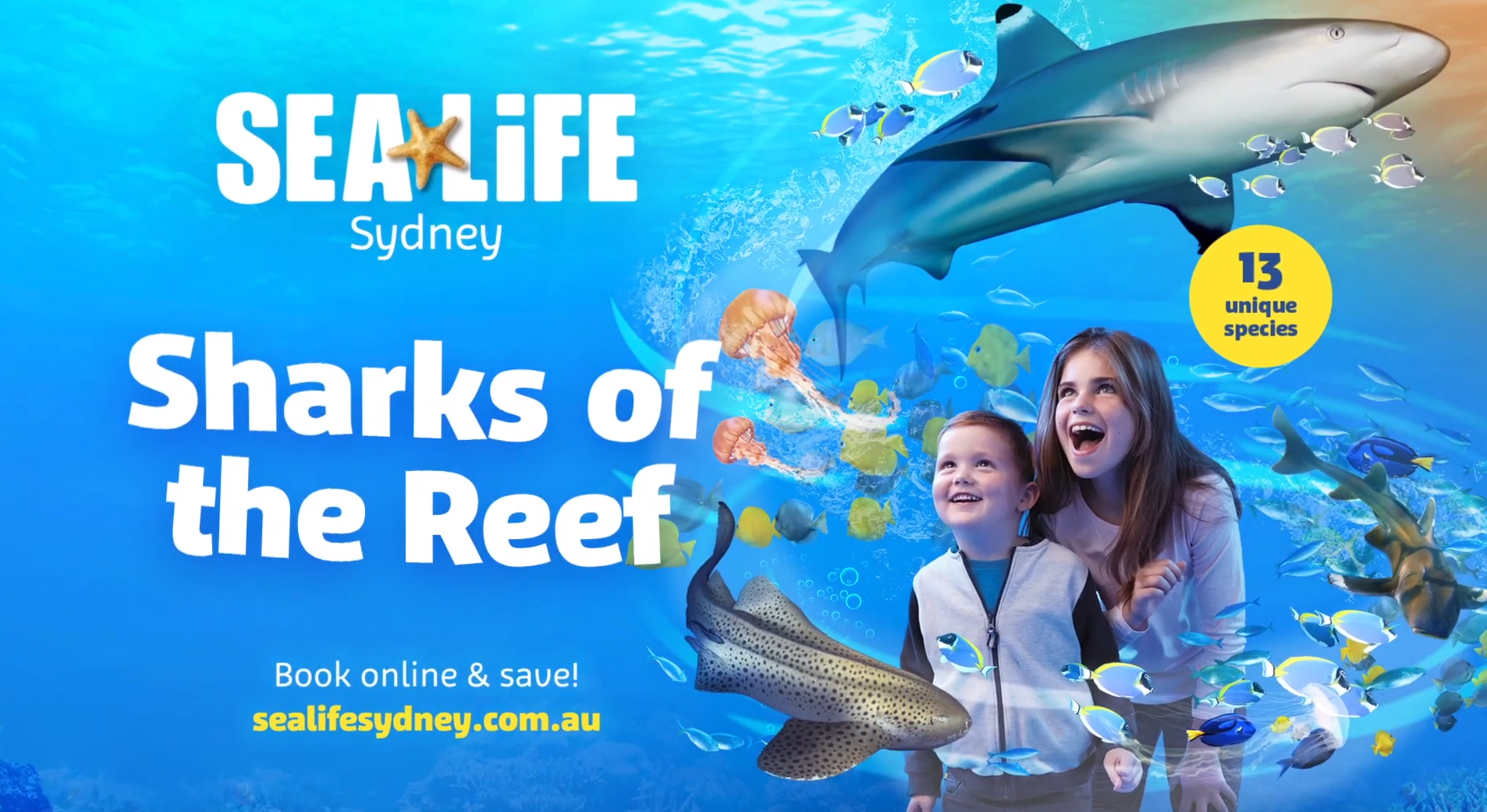 Sharks Of The Reef Video