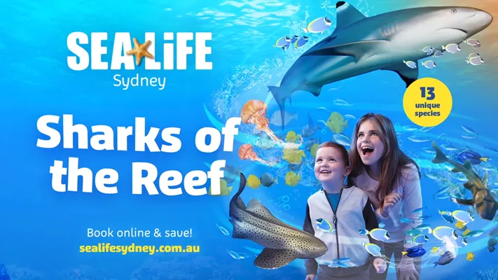 Sharks Of The Reef Video