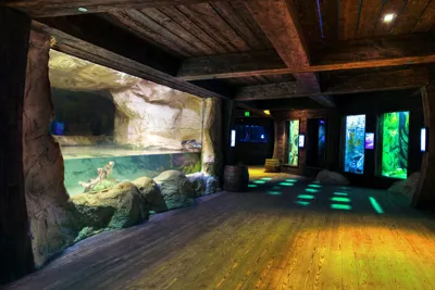 South Coast Shipwreck at SEA LIFE Sydney Aquarium