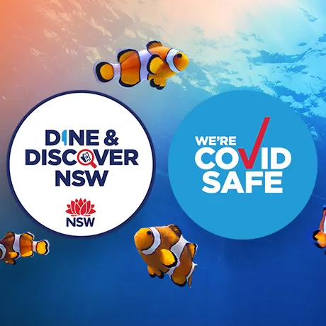 SL Dnd 600X460px (1)