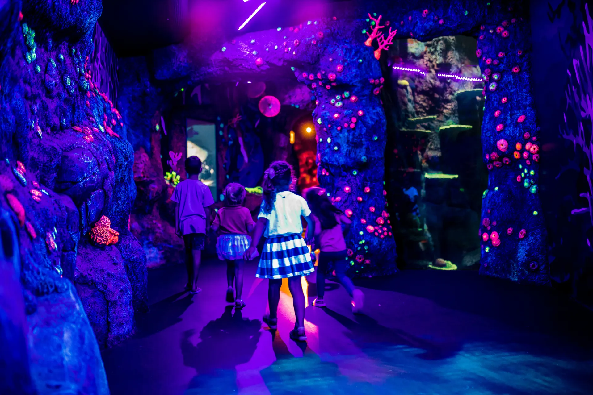 Vivid Offer Darling Harbour SLSA