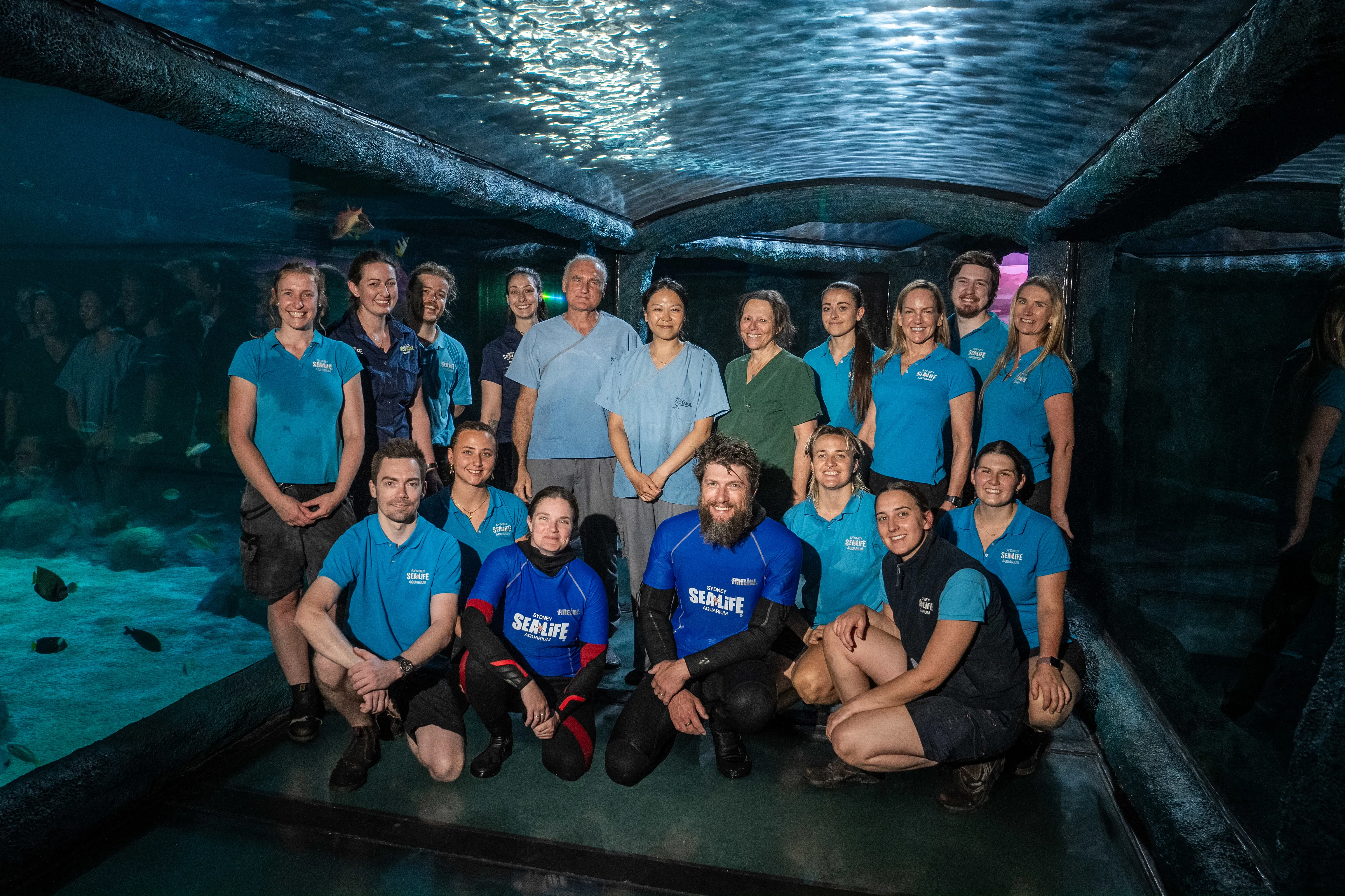 World First Leopard Shark AI Team In The Day And Night On The Reef 360 Degree View Tunnel SEA LIFE Sydney Aquarium