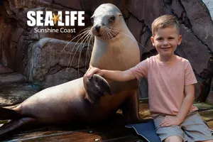 QLD Attraction Image (1)