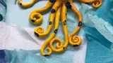 Octopus Craft