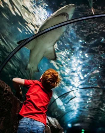 Instagrammable places in Sydney - the shark valley tunnels