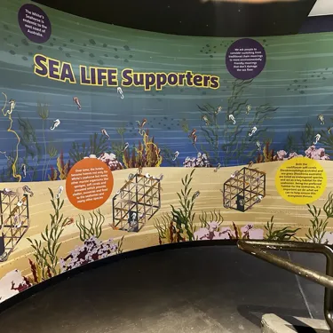 Microsoftteams Image (5)