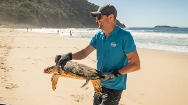 Ben Wynand Releases Avalon The Rescued Hawksbill Turtle SEA LIFE Sydney Aquarium