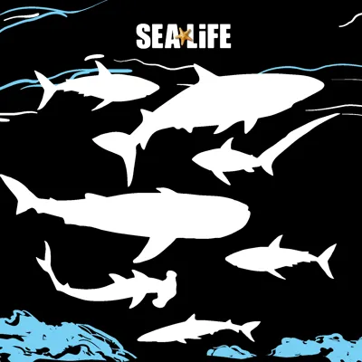 Sharkfacts Bookweek Highcontrast
