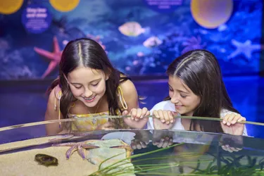 00006 HERO SLMA Rockyshores2025 [USE GLOBAL] [EXP INPERP] Children Look At Rockpool Creatures