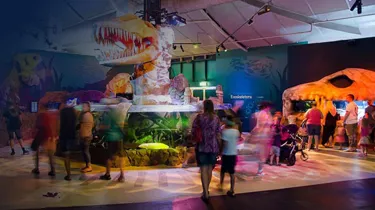 Walking around the Jurassic seas exhibit-Seniors Activities