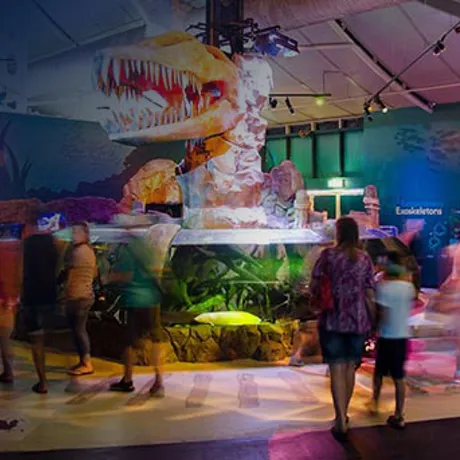 Walking around the Jurassic seas exhibit-Seniors Activities
