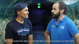 Shark Interview