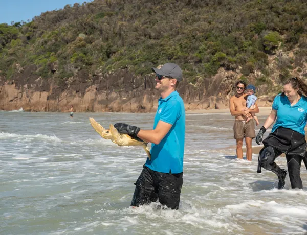 Loggerhead Release SEALIFE TURTLE 28