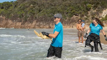 Loggerhead Release SEALIFE TURTLE 28