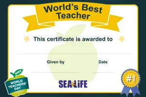 Bestteacher Certificate A4 FA
