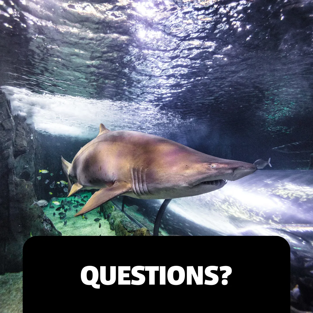 Accessibility Webpage Images Questions