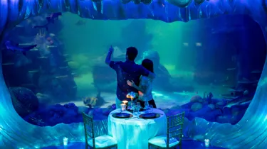 Unique experiences in Sydney - private dining at SEA LIFE Sydney