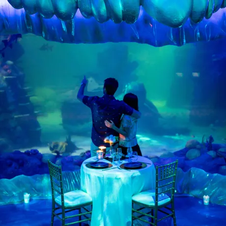 Unique experiences in Sydney - private dining at SEA LIFE Sydney