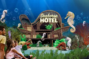 SL Seahorses Fatrect 630X390px