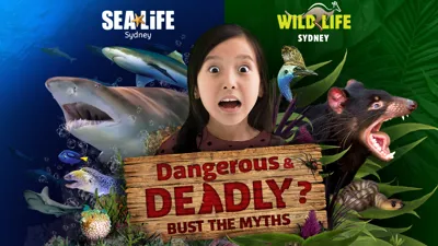 CLUSS Dnd Ticketswidertile 1000X600px