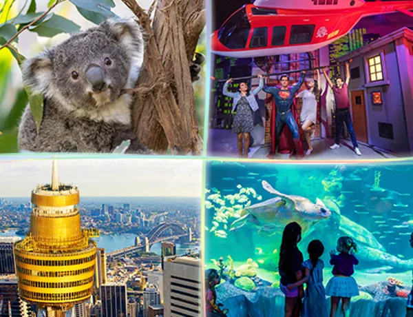 CLUSS Websiteimage 490X350px MTS