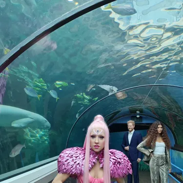 Celebrities Visit Pig The Dugong