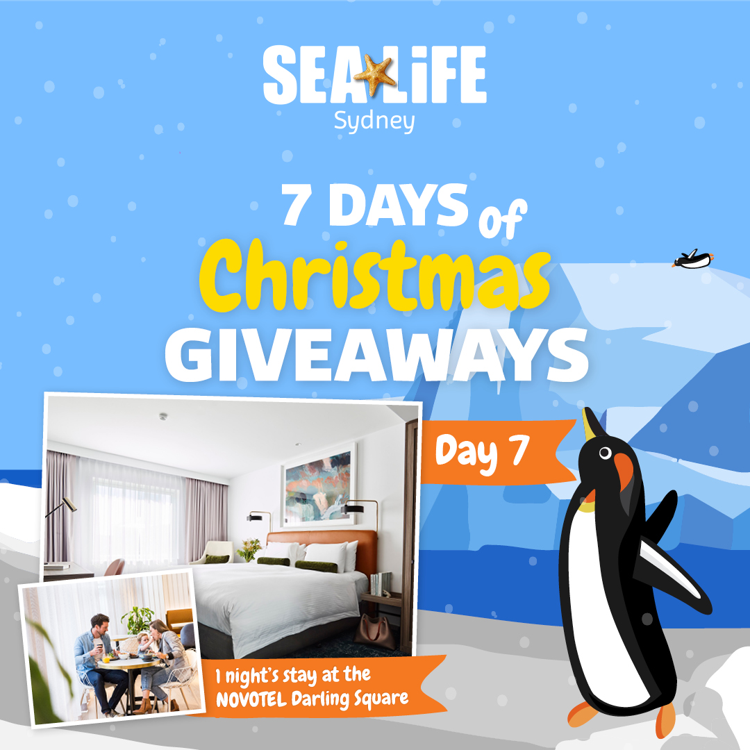 Christmas Giveaway Penguins8