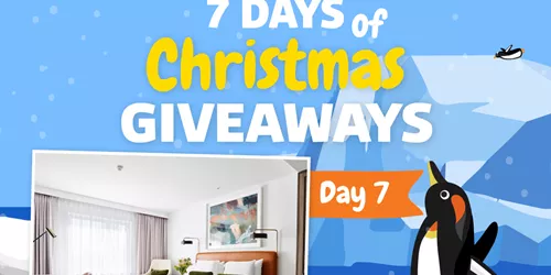 Christmas Giveaway Penguins8