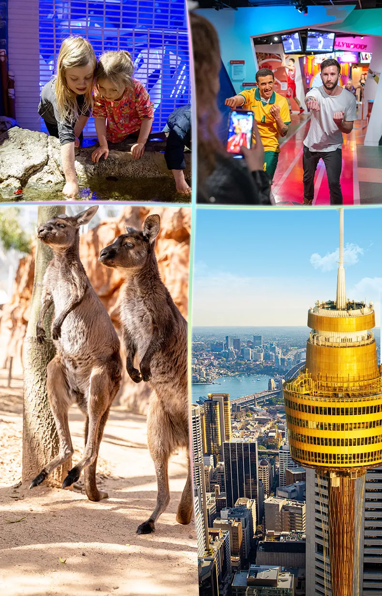 Cluss Homepage Mobile 1