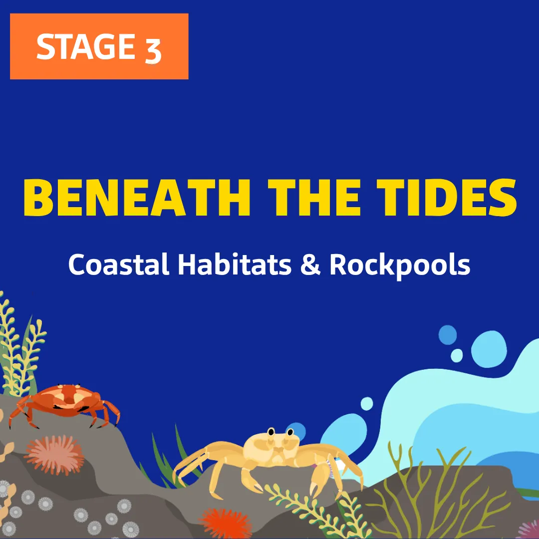 S3 Beneaththetide