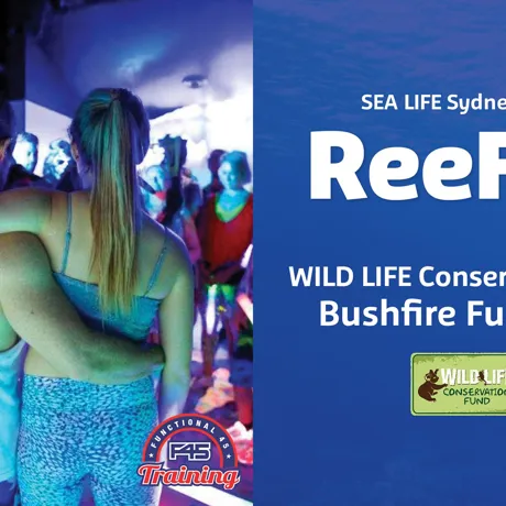 Reef45