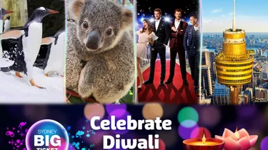 CLUSS Diwali 800X600px
