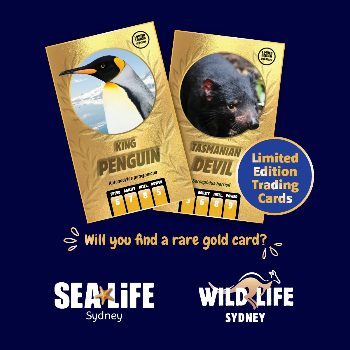 WEB Goldcard Assets SYD