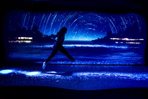 A Bioluminescent Ocean Glows Under Guest’S Footsteps At 'Night' 2