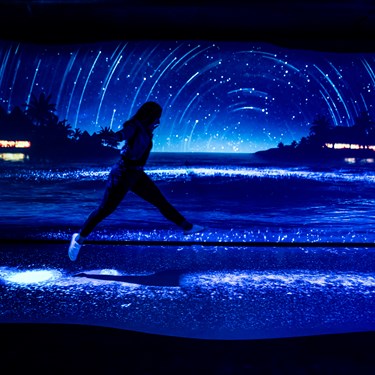 A Bioluminescent Ocean Glows Under Guest’S Footsteps At 'Night' 2