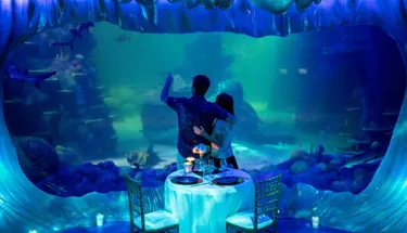 2019 Private Dining Turtle Beach