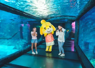 Isabelle at SEA LIFE Sydney Aquarium