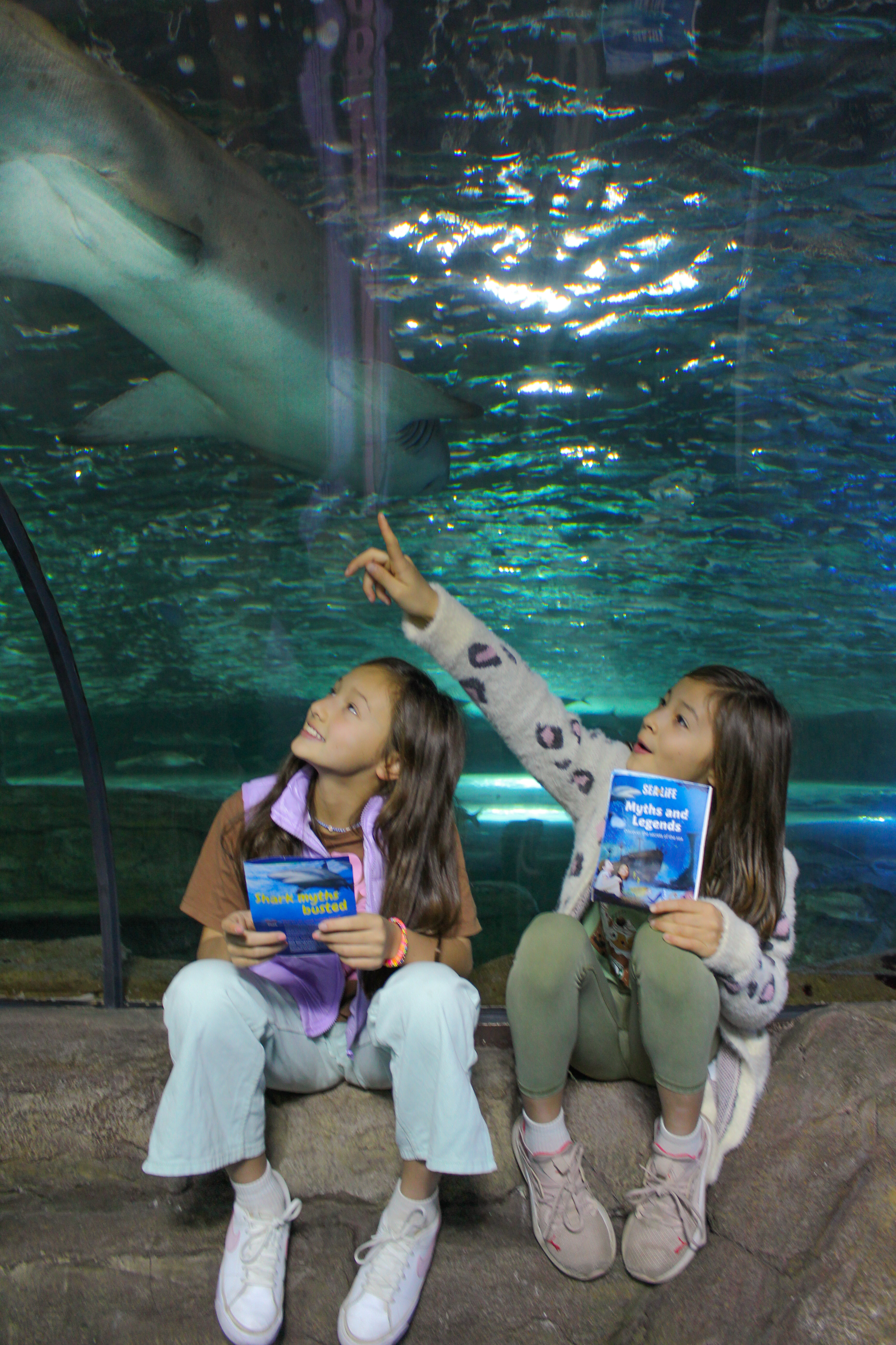 SEA LIFE Sydney Aquarium Myths And Legends Shark Valley Tunnel